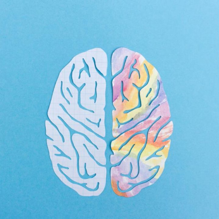 Right Brain VS Left Brain Learner: Who Is Better?