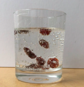 dancing-raisins-tickle-right