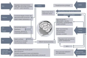 baby brain development food tickle right