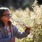 Nature Play and Kids’ IQ: How Outdoor Exploration Boosts Brainpower